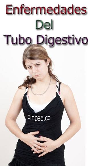el tubo digestivo