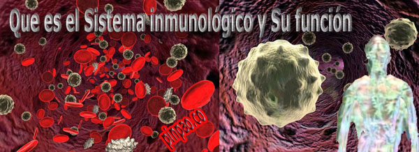 sistema inmunologico